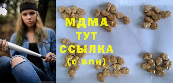 индика Нея