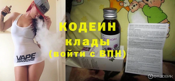 индика Нея
