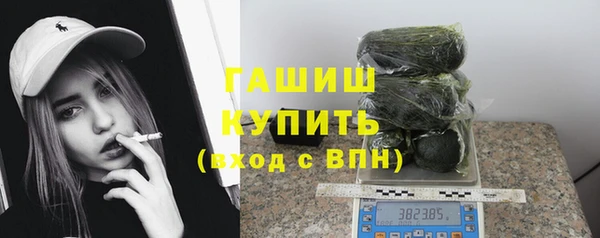 индика Нея