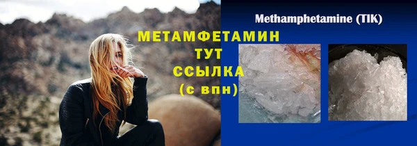 индика Нея