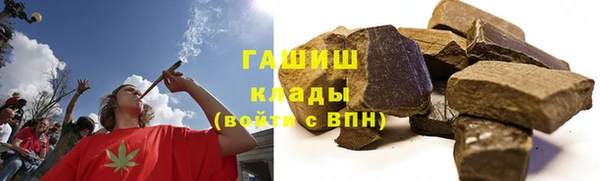 индика Нея