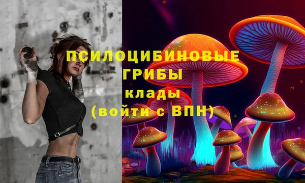 индика Нея