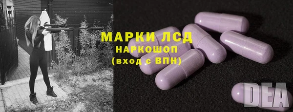 индика Нея