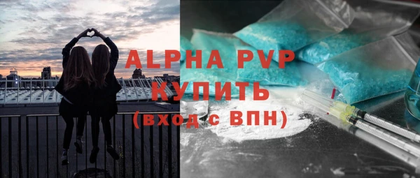 индика Нея