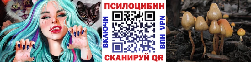 Галлюциногенные грибы Magic Shrooms  Николаевск 